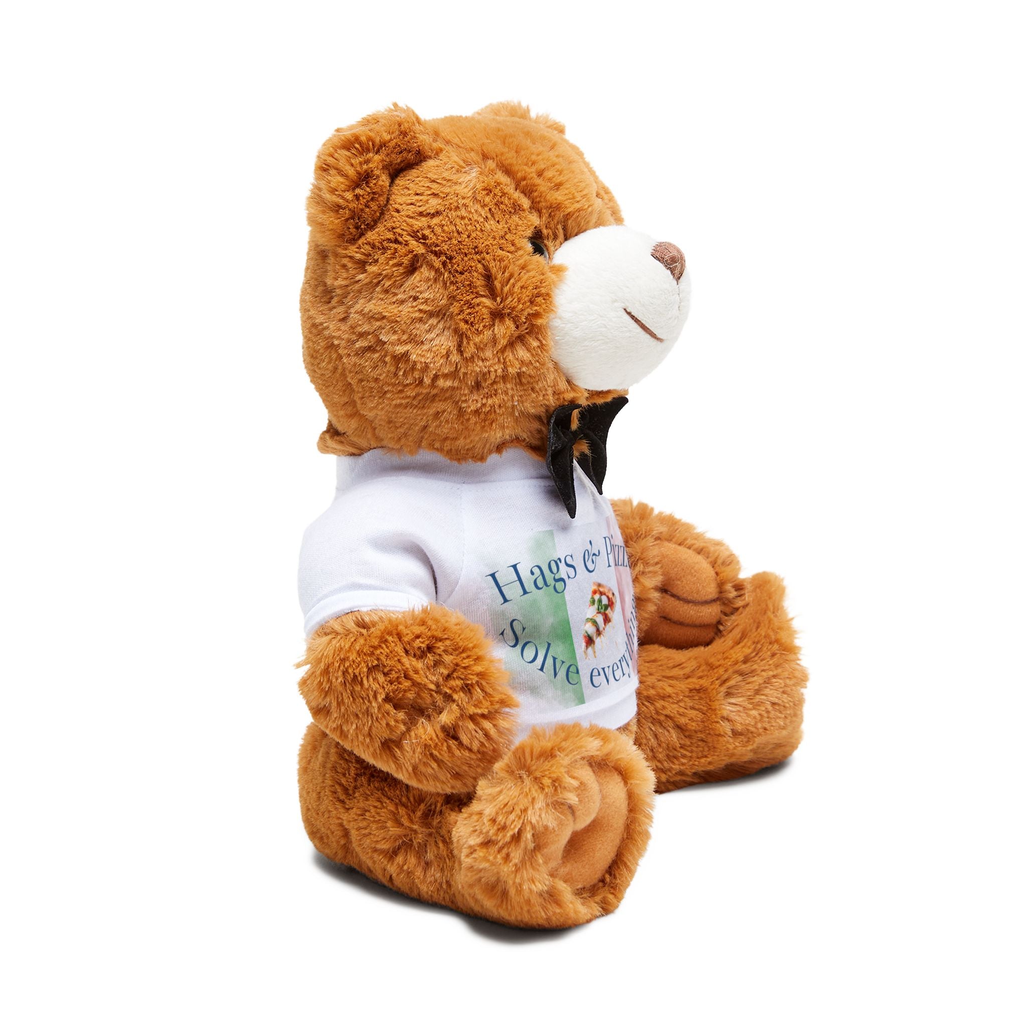 Teddy Bear Plushie, Hugs & Pizza Solve Everything,