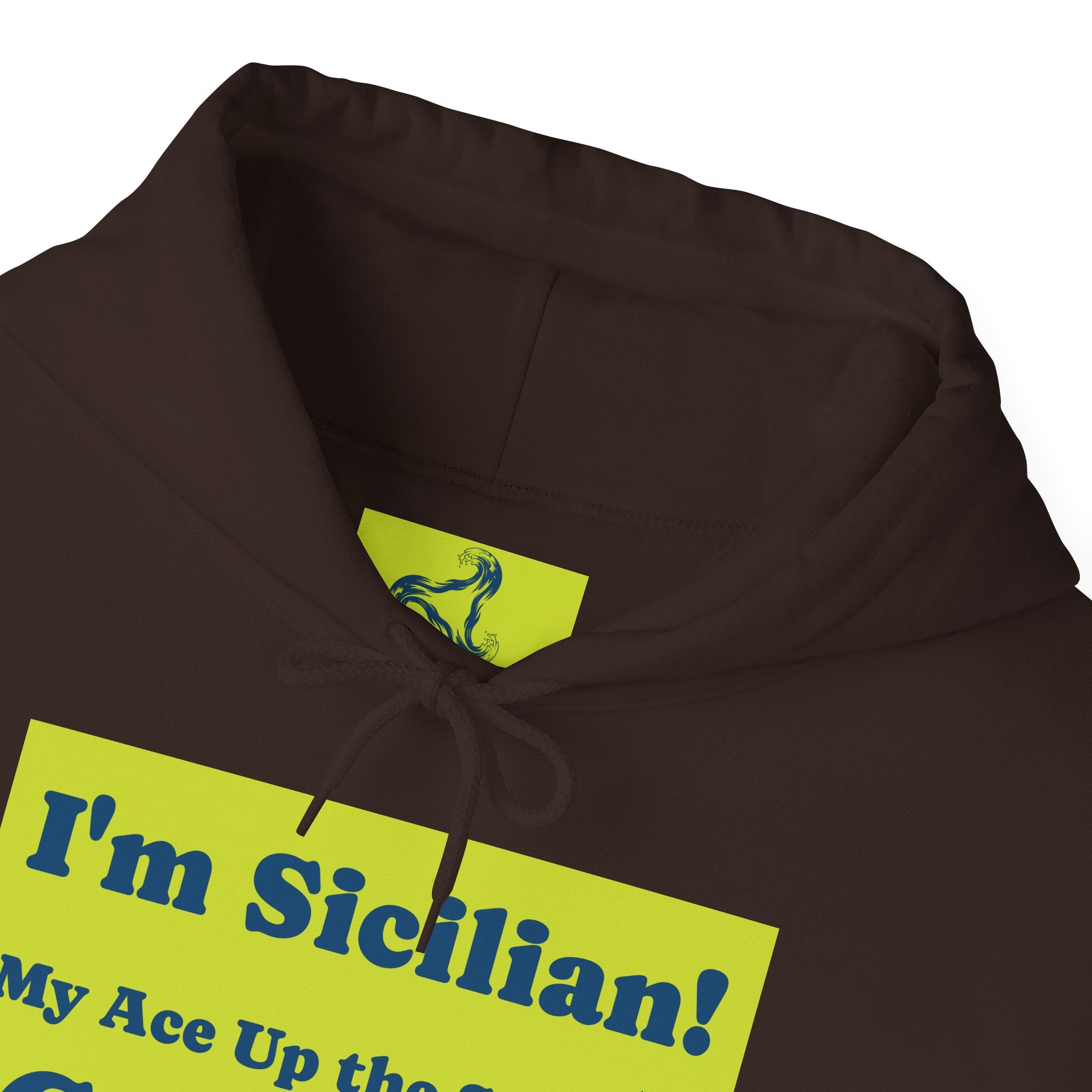 Cozy Unisex Hooded Sweatshirt for Every Season, Perfect Gift for Birthdays, Holidays, Casual Wear, Matching Outfits