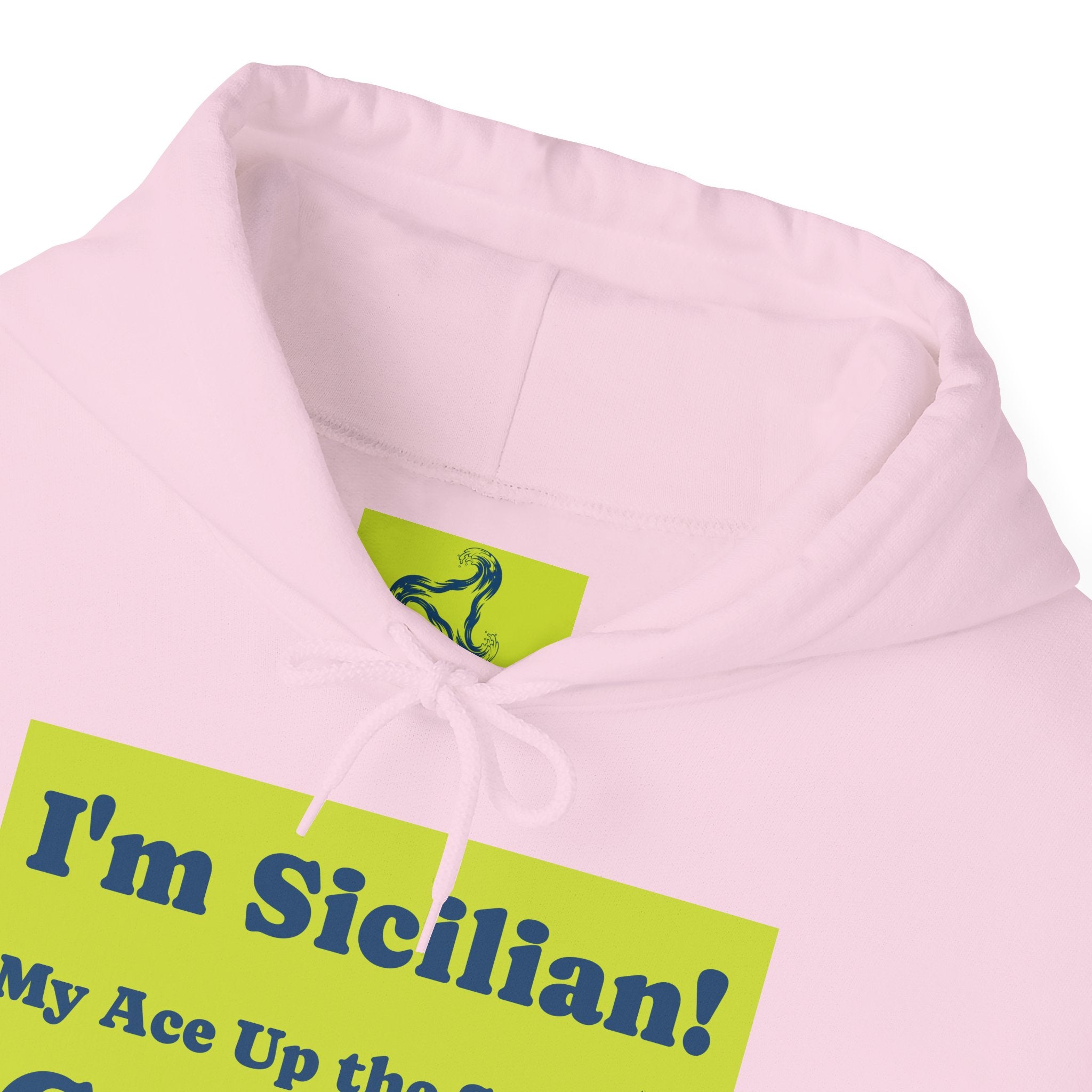 Cozy Unisex Hooded Sweatshirt for Every Season, Perfect Gift for Birthdays, Holidays, Casual Wear, Matching Outfits