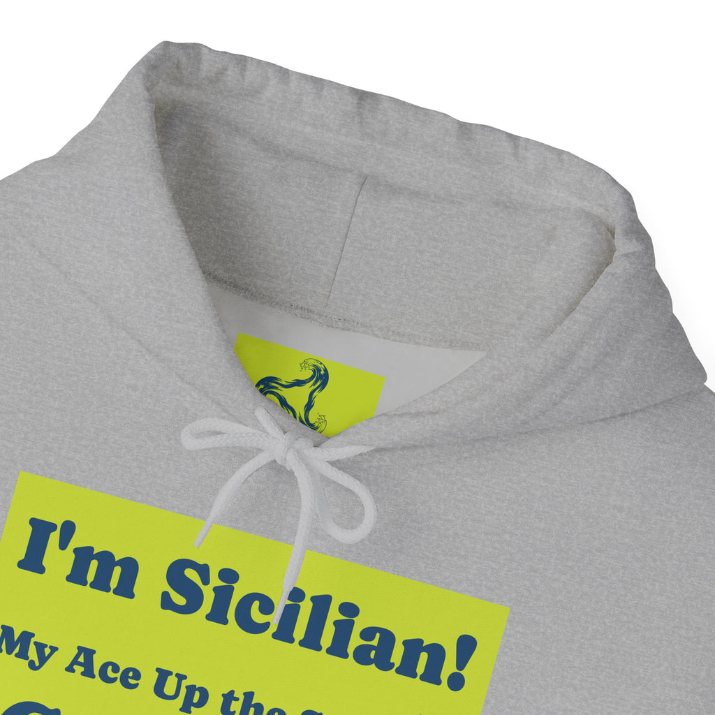 Cozy Unisex Hooded Sweatshirt for Every Season, Perfect Gift for Birthdays, Holidays, Casual Wear, Matching Outfits