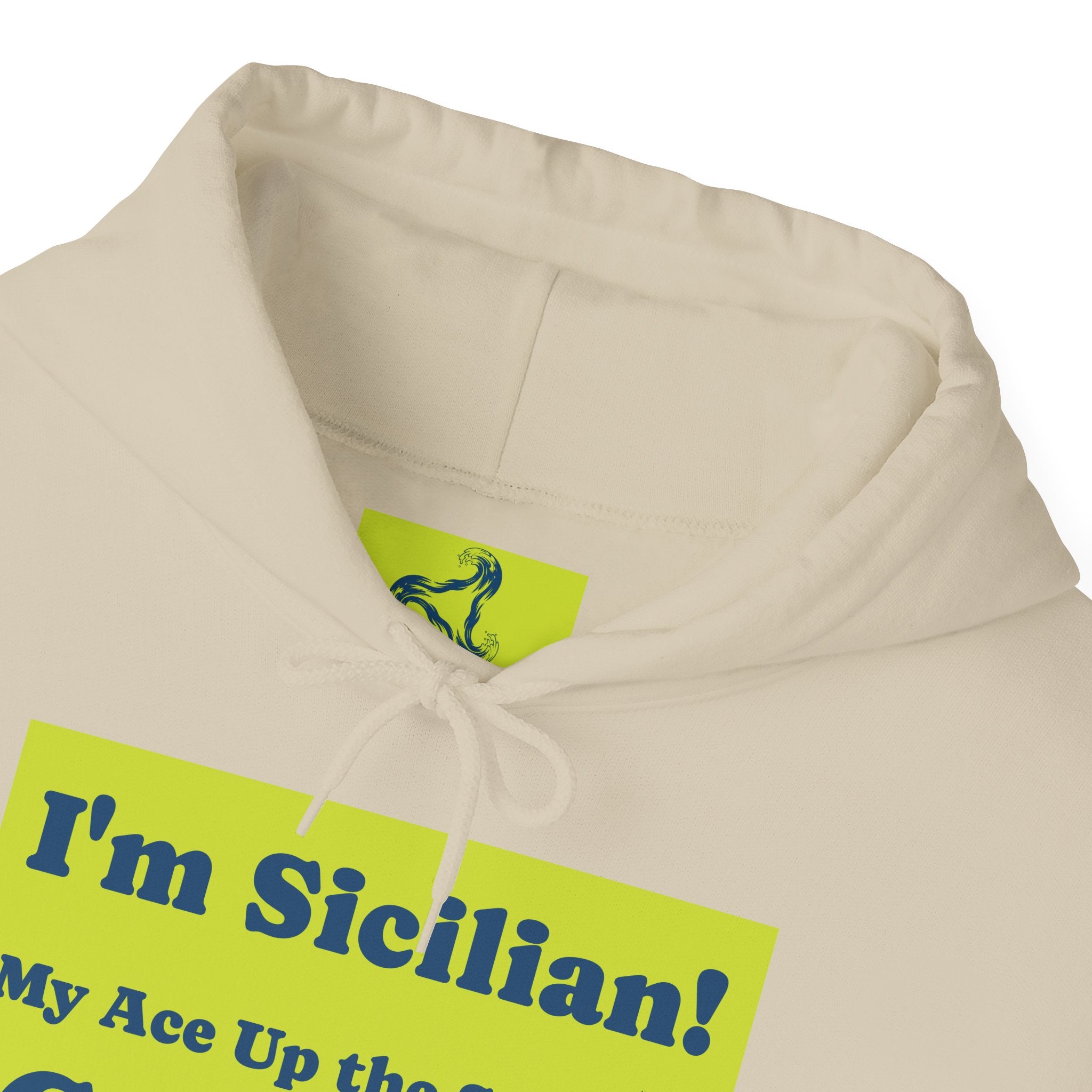 Cozy Unisex Hooded Sweatshirt for Every Season, Perfect Gift for Birthdays, Holidays, Casual Wear, Matching Outfits